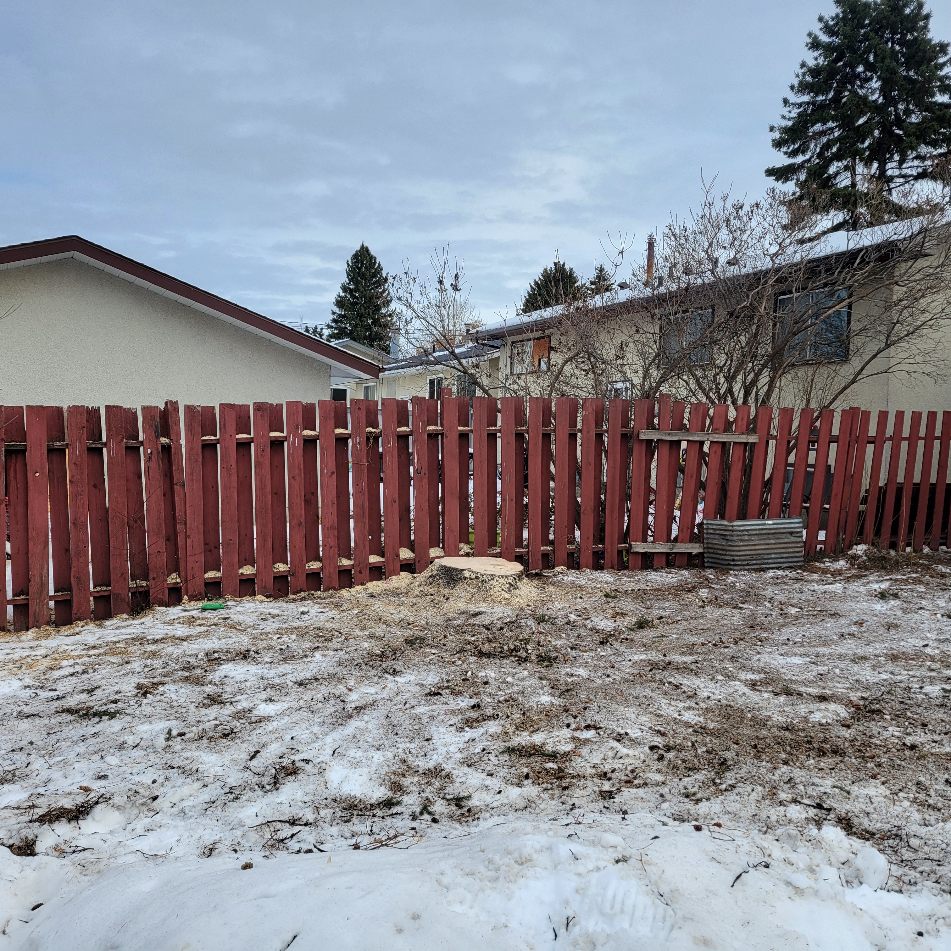 Stump grinding photo